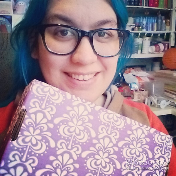 My very first Erin Condren box!