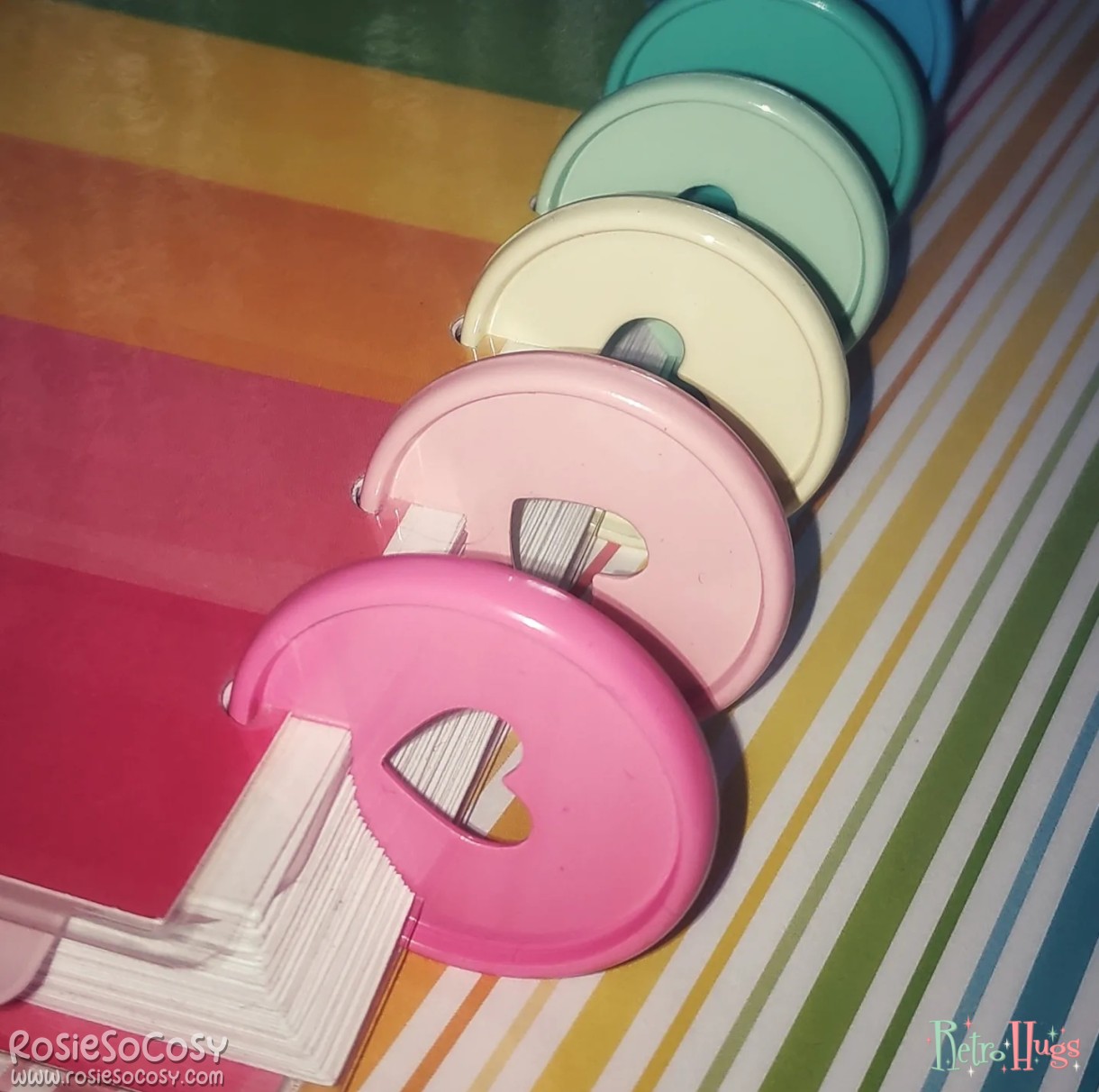 Custom 2022 discbound planner